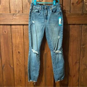 Blank NYC Lexington High Rise 90s Straight Leg Jeans